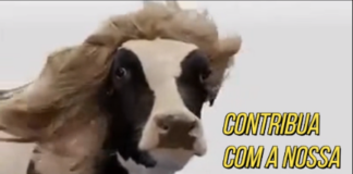 Ajude-nos a chegar no 57° Congresso da UNE