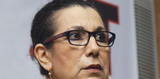 Luisa Livre: agradecimento a todos que participaram da campanha