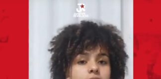 Juventude Revolução de SC disputa eleições online para grêmio estudantil