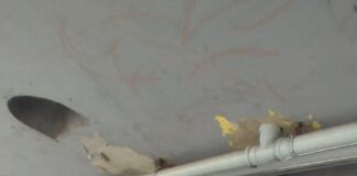 Núcleo de Salvador/BA realiza colagem de cartazes